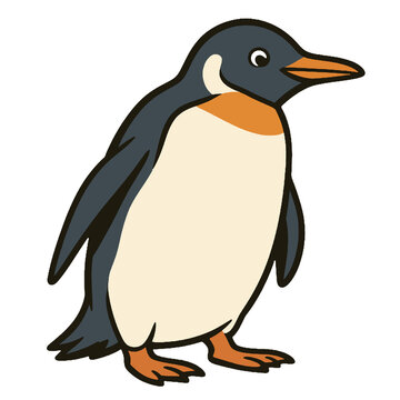 Gentoo penguin cartoon illustration