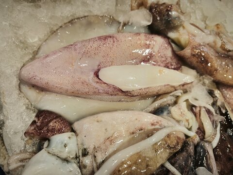 Uncleaned Commander squid piled together, showing pale pinkish beige bodies, visible tentacles, and natural texture of raw seafood.