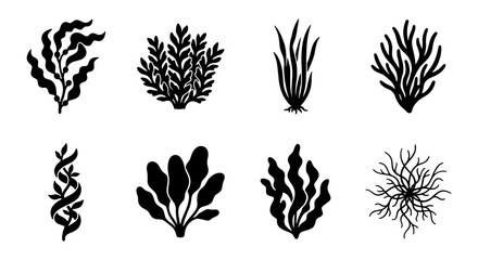 Naklejka premium Set of 8 Black Seaweed Icons, Marine Algae Vector Illustrations, Underwater Plant Silhouettes for Oceanographic and Aquatic Design
