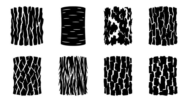 Set of 8 Vector Bark Textures, Natural Wood Grain Patterns, Rough Tree Skin Surfaces, Organic Forest Elements for Design