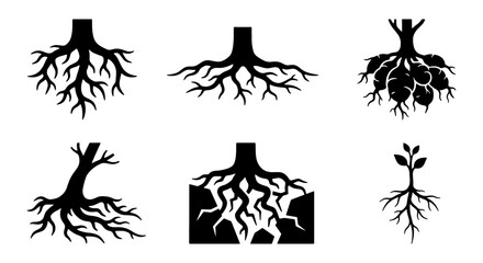 Diverse Tree Root Systems Vector Icons Set, Organic Growth and Foundation Concepts, Black and White Silhouette Graphics © Lamiya