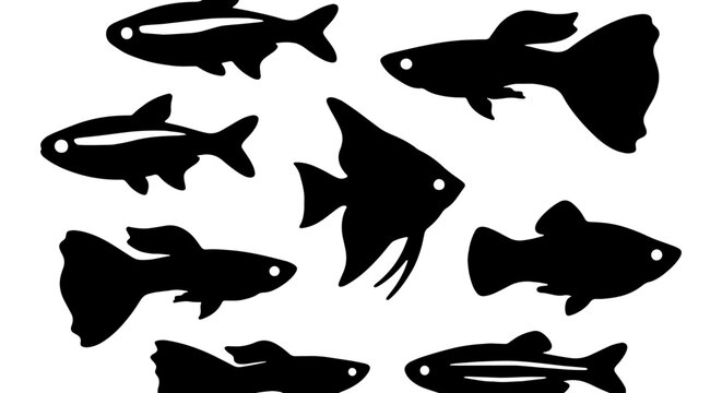 Diverse Aquarium Fish Silhouettes Collection, Aquatic Life Vector Icons, Tropical Freshwater Species Graphics, Underwater Animal Shapes Set