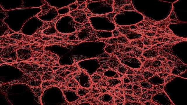 Red Filamentous Mesh on Black Background
