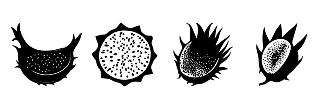 Dragon fruit half with black line art and seed details featuring exotic fruit theme with solid black lines and white background
