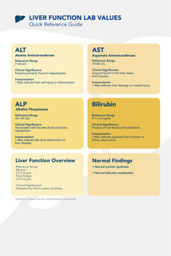 Liver Function Lab Values Quick Reference Guide Medical Infographic