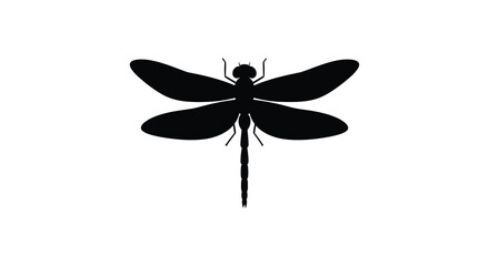 Dragonfly Silhouette On White Background Minimalist Insect Shape © Foaje512