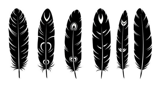 Decorative bird feather silhouettes set.