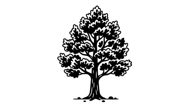 Deciduous Tree Outline Vector Illustration
