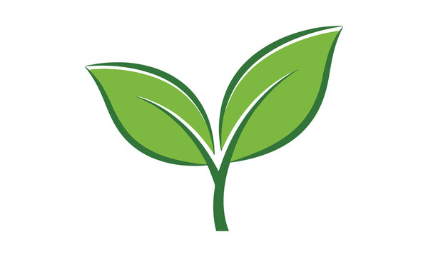 Simple two-leaf green vector icon, ideal for nature, environment, eco-friendly, agriculture, and organic product branding.