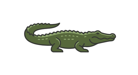 Fototapeta premium Green Alligator Illustration on White Background - Cartoon Style Reptile