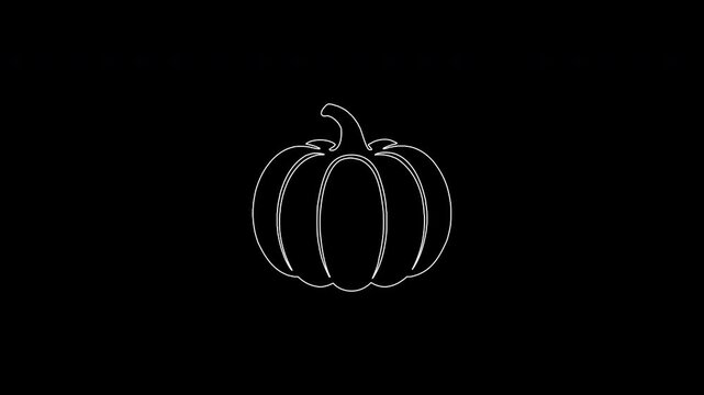 Halloween pumpkin continuous line drawing animation