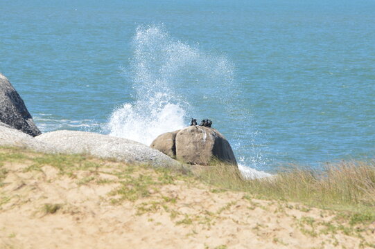 punta del diablo - uruguai