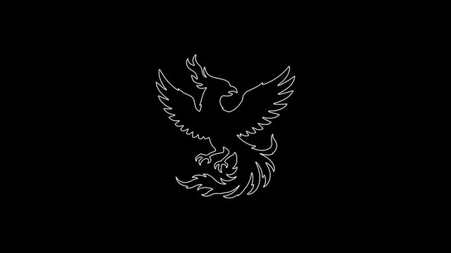 Animated phoenix bird drawing on black background