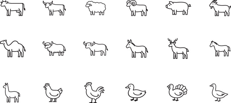 Domestic animals square line icon set. Editable stroke, pixel perfect scalable vector for web and app.