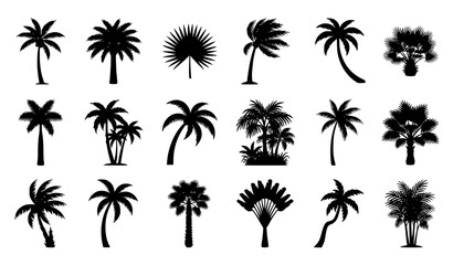 Fototapeta premium Tropical Palm Tree Silhouette Collection Featuring Diverse Island Inspired Botanical Tree Designs for Creative Projects
