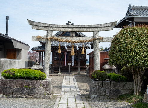 Shinto shrine with stone torii gate and straw rope in spring courtyard, Otsu Japan