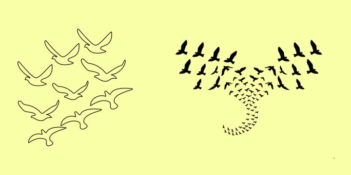 Flock of birds flying silhouette and line art migration pattern vector illustration