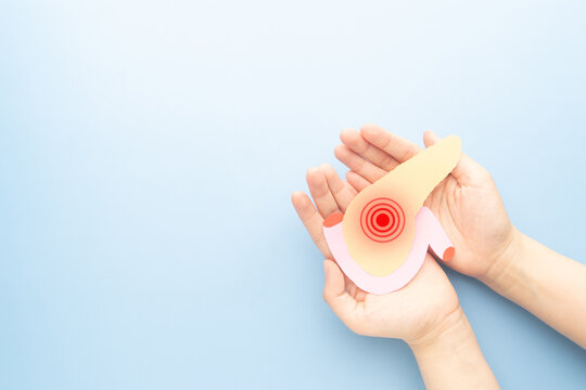 Hands holding pancreas organ shape made from paper on light blue background. Awareness of pancreatitis, pancreatic cancer and  diabetes mellitus.
