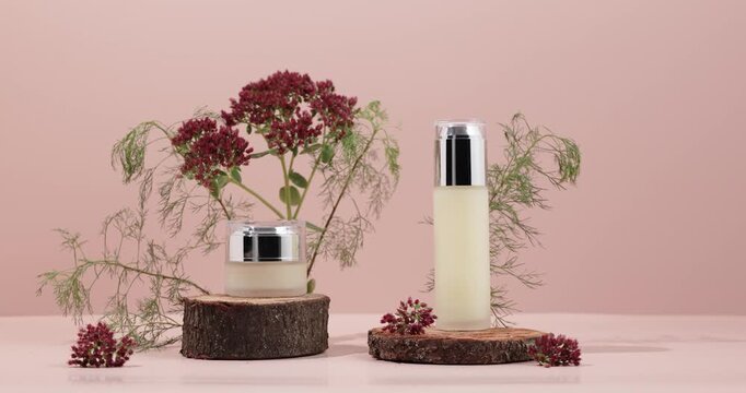 Glass cosmetic bottles on a wooden podium surrounded by succulents and green grass stalks. Video of a mock-up of organic cosmetics on a beige background.