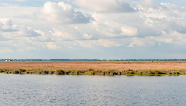 Serene wetland landscape with cloudy sky and reflective water