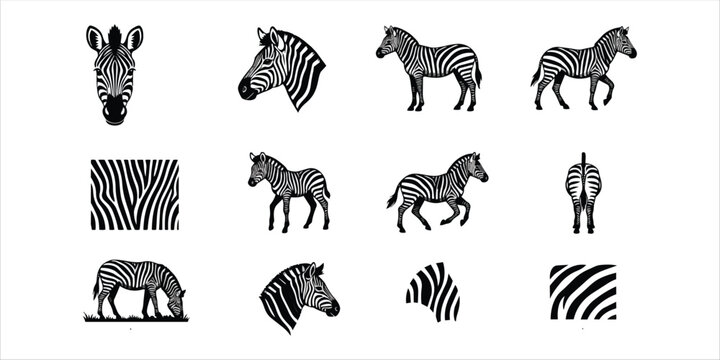 Graphic collection of zebra silhouettes and abstract stripe textures with wildlife silhouette collection elements isolated standing creature