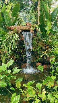 Discover a serene tropical oasis with a gentle cascading waterfall flowing into a peaceful pond, surrounded by lush green foliage and exotic plants, creating a tranquil natural backdrop