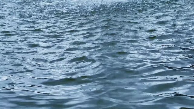 Rippling Blue Water Surface Texture with Gentle Wave Patterns and Natural Light Reflections