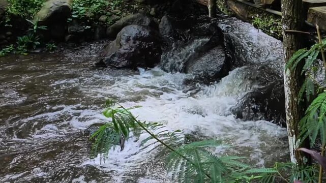 Serene Mountain Stream Flowing Over Rocks with Lush Greenery