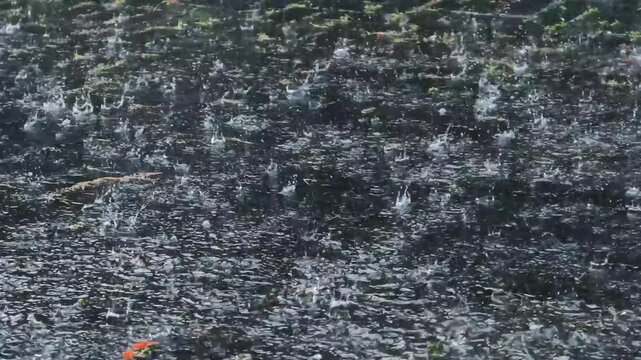 Heavy Torrential Rain Falling on Dark Paved Ground During a Stormy Summer Weather Condition