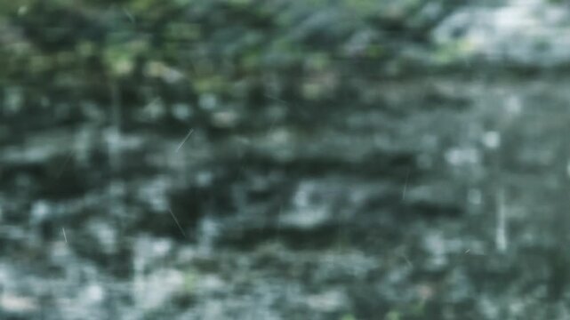 Heavy rain falling in a lush green forest, creating a tranquil and refreshing natural atmosphere
