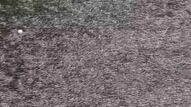 Abstract dark purple grainy texture for background design and graphic overlay projects