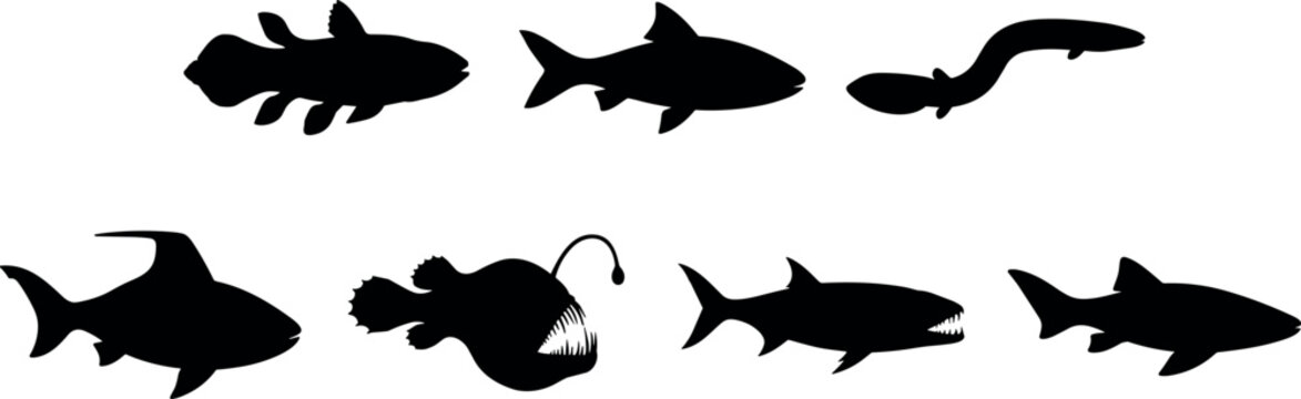 Set of prehistoric sea monsters and deep sea fish silhouettes isolated on white background