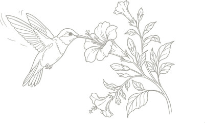 Obraz premium hand drawn vector illustration of a bird
