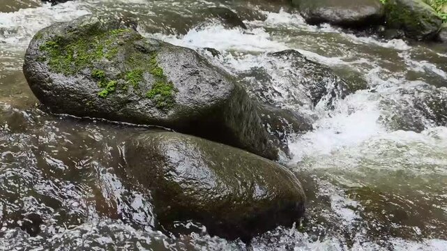 Fast flowing river water cascading over large mossy wet rocks in a natural forest stream environment during daylight