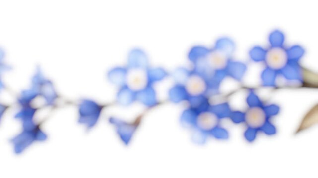 A detailed view of a plant with bright blue flowers, suitable for botanical illustrations or scientific articles