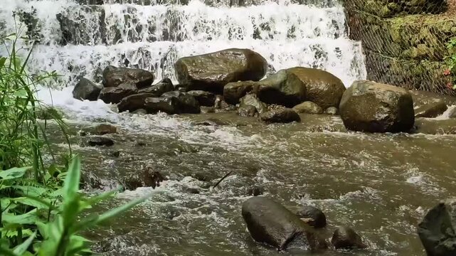 A Scenic Cascading Mountain Stream Flowing Over Smooth River Stones Surrounded by Lush Green Forest Vegetation