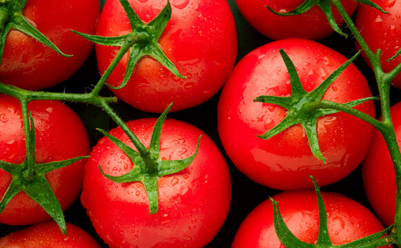 Branch of red tomatoes close up, top view
