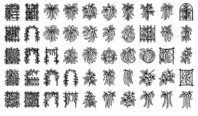Fototapeta premium Giant Bean Plant Outline Vector Collection with Editable Botanical Illustrations