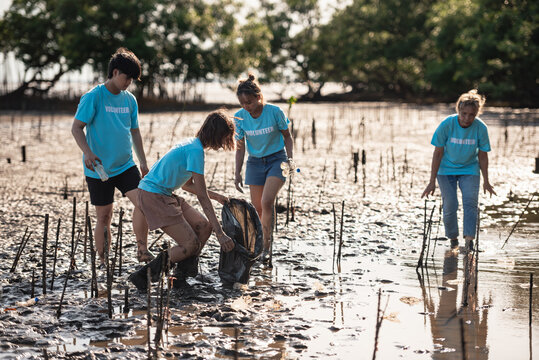 Volunteer Team Mangrove Cleanup Volunteers Participating In Coastal Conservation And Marine Waste Collection During World Environment Day Sustainability Campaign.