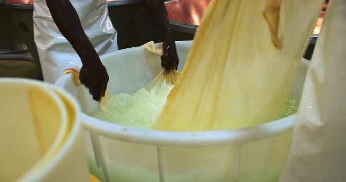 Slow Motion Of Dairy workers stretching long sheets of elastic cheese curd across metal rods during traditional production. Cheesemakers Stretching Elastic Curd over Copper Vat