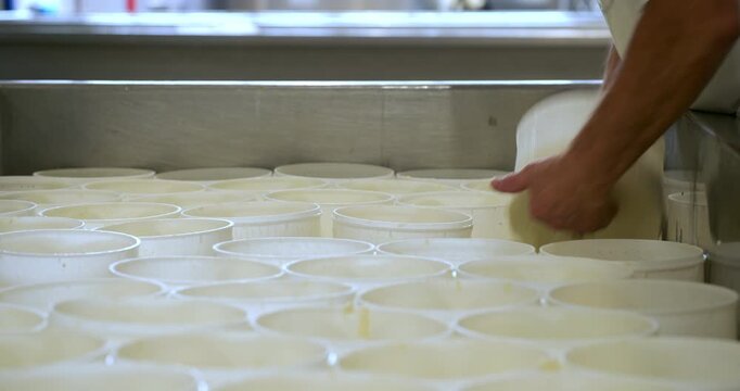 Slow Motion Shot of Dairy Worker Arranging White Cheese Molds in Production Facility. Industrial cheese production, organization, food manufacturing.