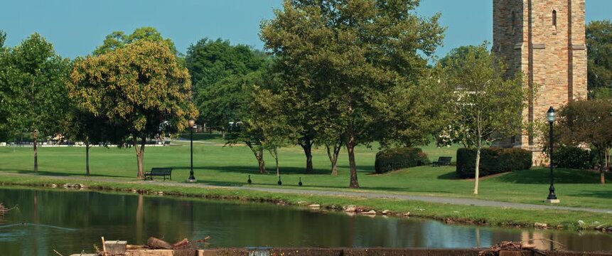 Three geese walk from the waters of Carroll Creek toward the green lawn near the historic Joseph Dill Baker Carillon in Frederick, Maryland.