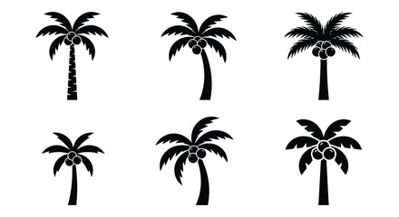 Fototapeta premium Palm tree silhouettes black vector illustrations on a white background