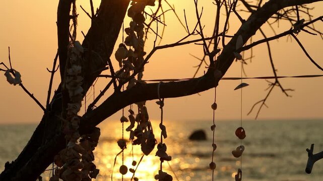 Tropical Beach Sunset through a Tree with Sea Shell Decorations