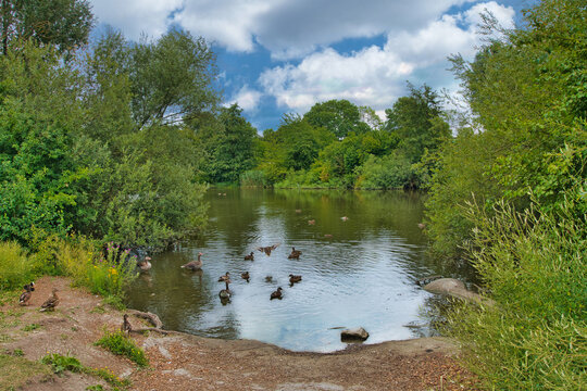 Der N&ouml;rdliche Kronsbergsee liegt im Osten von Hannover-Bemerode