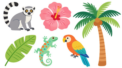 Tropical Nature and Wildlife Elements Illustration Set © Paih