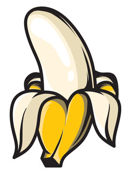 Three ripe bananas with fresh yellow peel on white background. Cluster of tropical fruit ready for healthy snack or smoothie preparation.