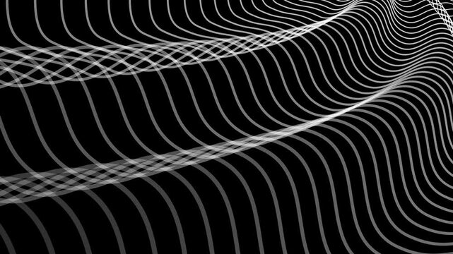 Monochrome flowing wave lines animation background, Background wavy lines forming abstract layered curves and intersecting paths