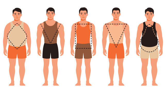 Male body types infographic chart showing different silhouettes with geometric shapes art.