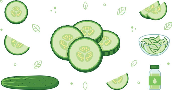 Fresh green cucumber vegetable collection featuring a whole cucumber circular cross section slices crescent chunks salad bowl and juice extract bottle isolated vector illustration.